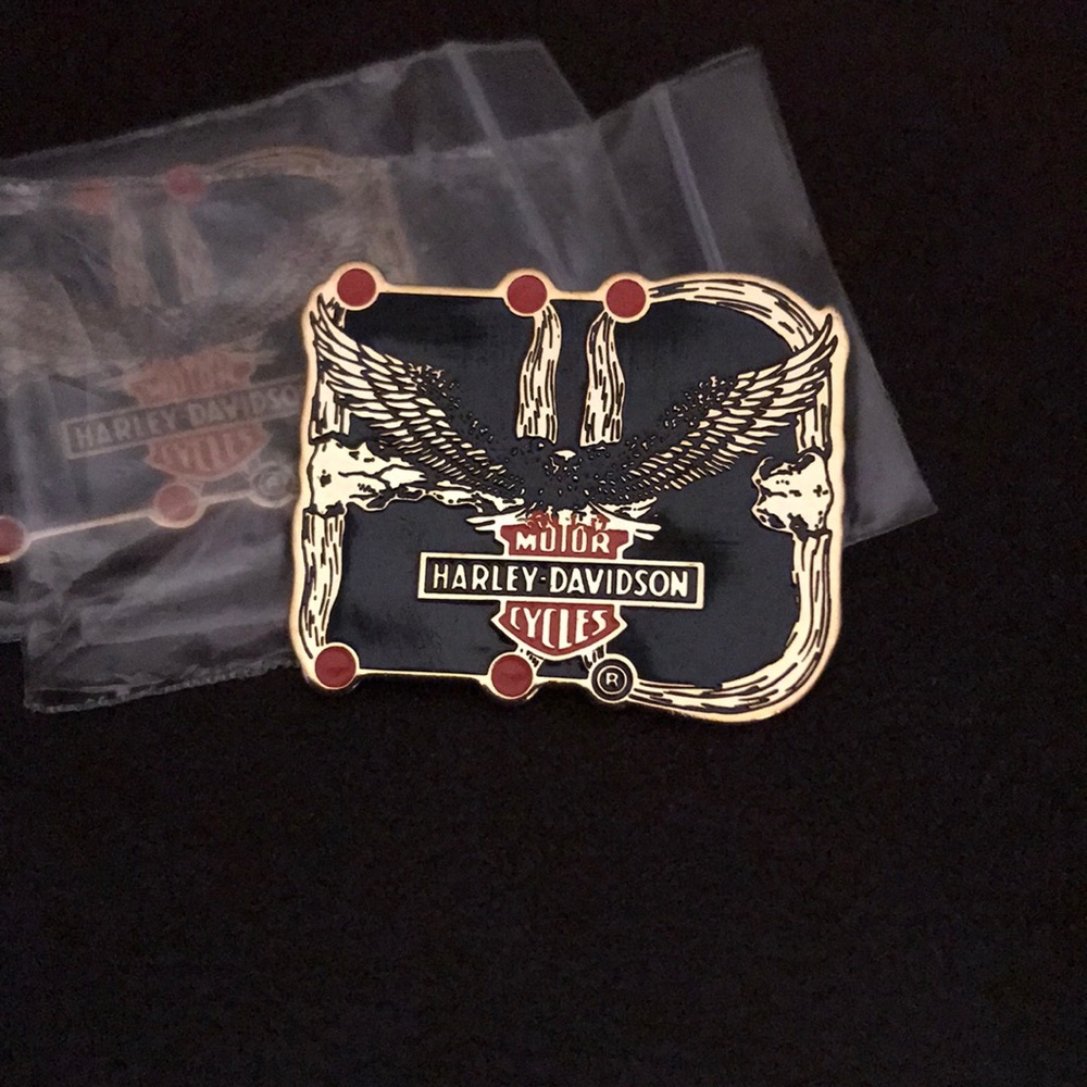 Harley Davidson Pin/pendant. (2 for $20) New